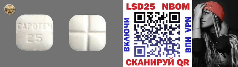 mega зеркало  Курчатов  ЛСД экстази ecstasy 