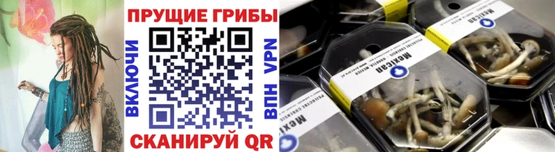 даркнет сайт  Курчатов  Галлюциногенные грибы Psilocybe 