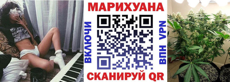 мега ССЫЛКА Курчатов Каннабис THC 21%